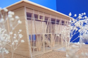 GREEN HOUSE: Construction modeling