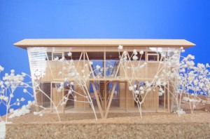 GREEN HOUSE: Construction modeling