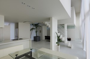 GREEN HOUSE: Living room