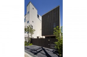 WIND ＆ LOUVER: Appearance