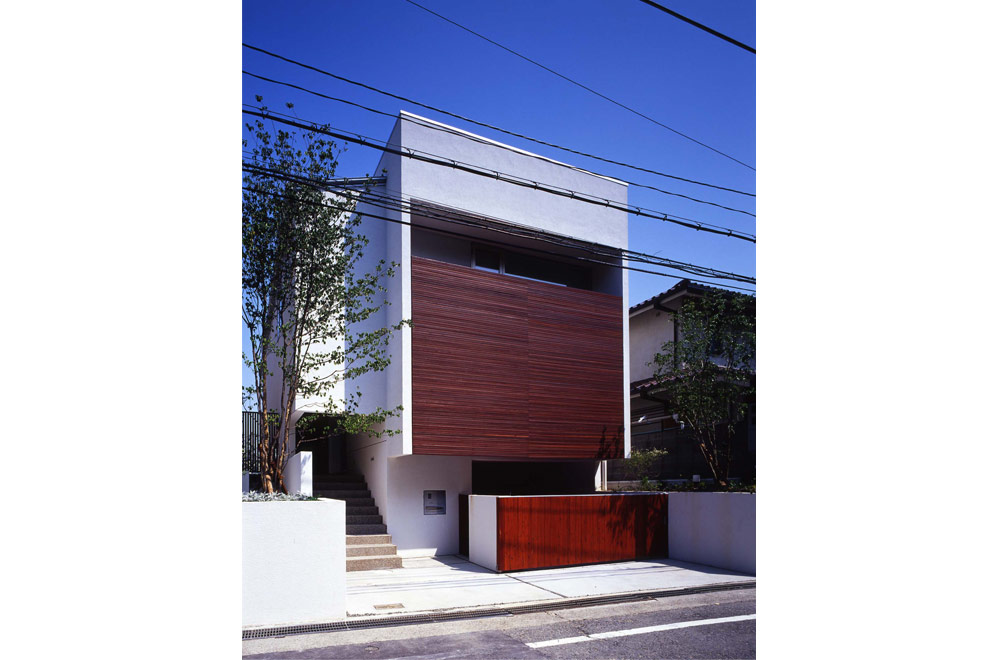 HOUSE WITH ROOF GARDEN: Appearance