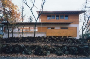 HOUSE IN IZU: Appearance