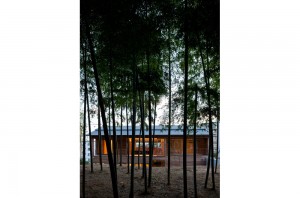 KANCHIKUSOU: Scenery of bamboo