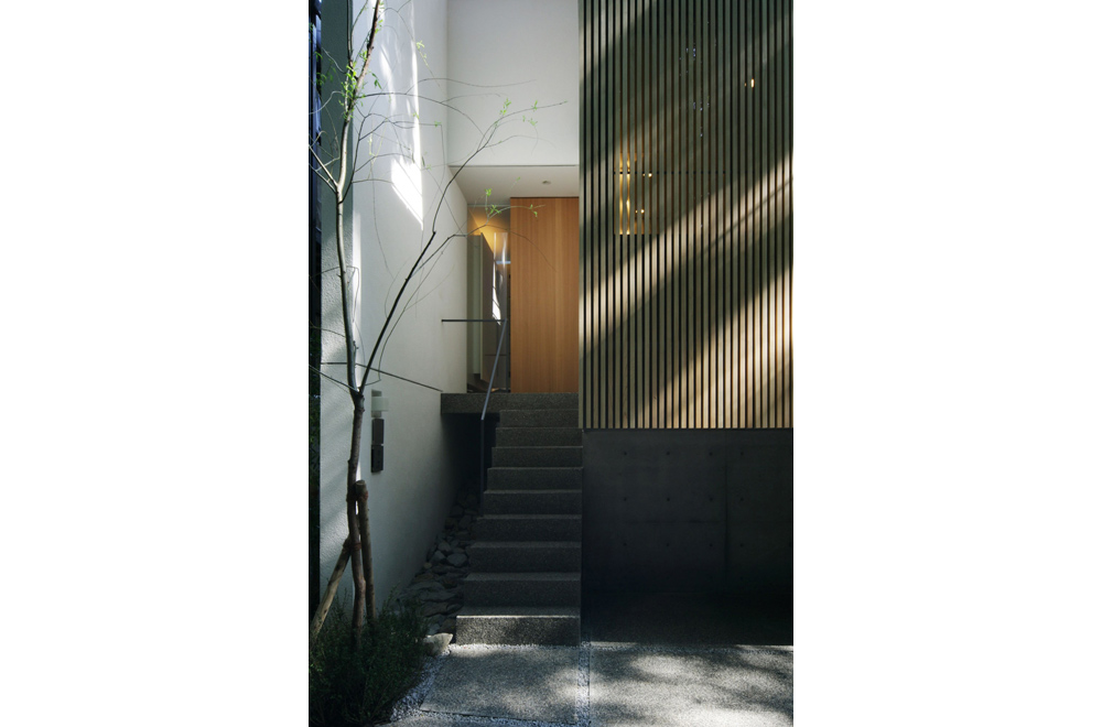 LIFE IN THE FOREST HOUSE: Entrance