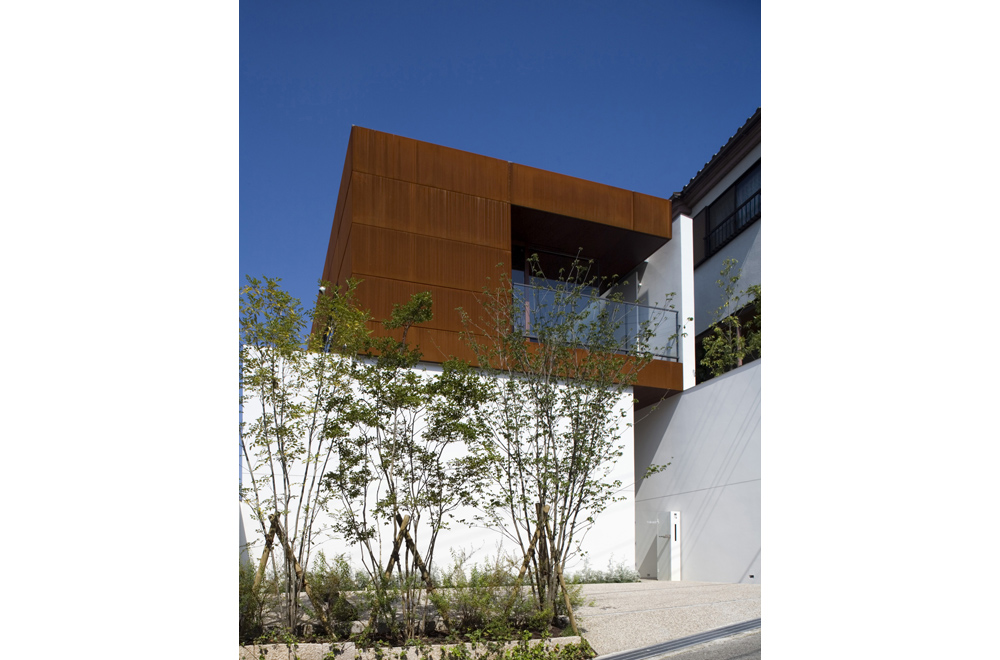 HOUSE WITH MAPLE TREE: Appearance