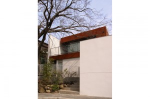 HOUSE WITH MAPLE TREE: Appearance