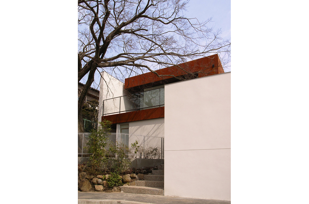 HOUSE WITH MAPLE TREE: Appearance