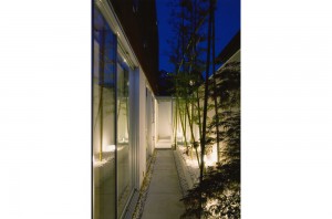 HOUSE WITH MAPLE TREE: Approach (in the night)