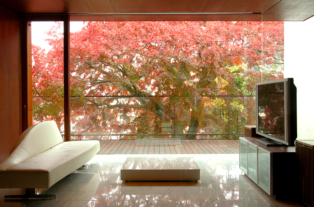 HOUSE WITH MAPLE TREE: Living room