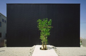 ESPAS: Facade