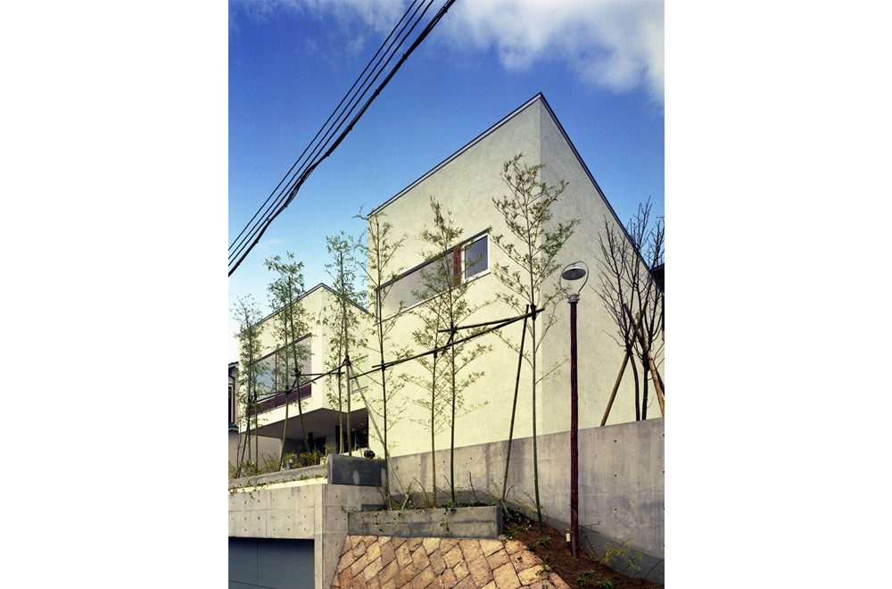 HOUSE IN MOTOYAMA: Appearance