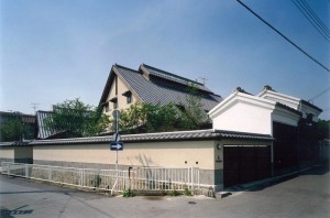 LARGE ROOF HOUSE: Appearance