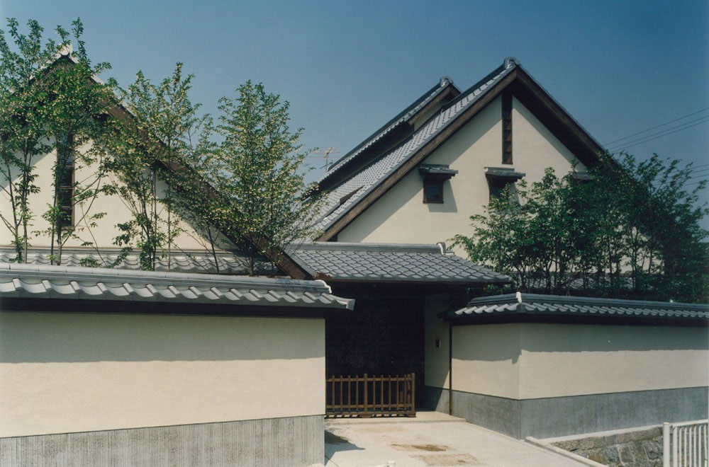 LARGE ROOF HOUSE: Appearance