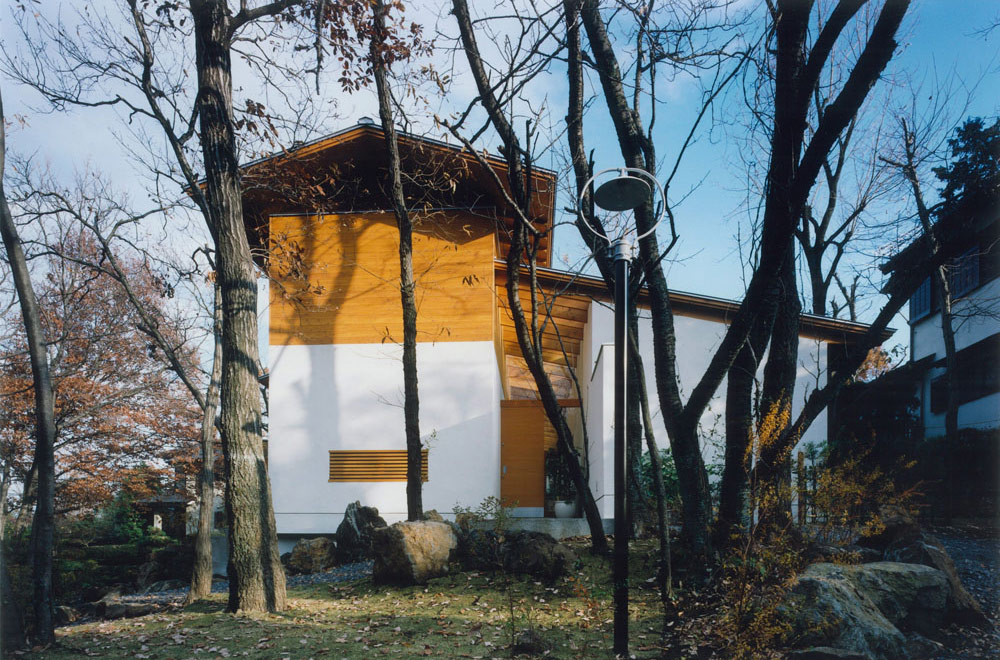 HOUSE IN IZU: Appearance