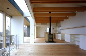 FLYING HOUSE: Living room & Fireplace