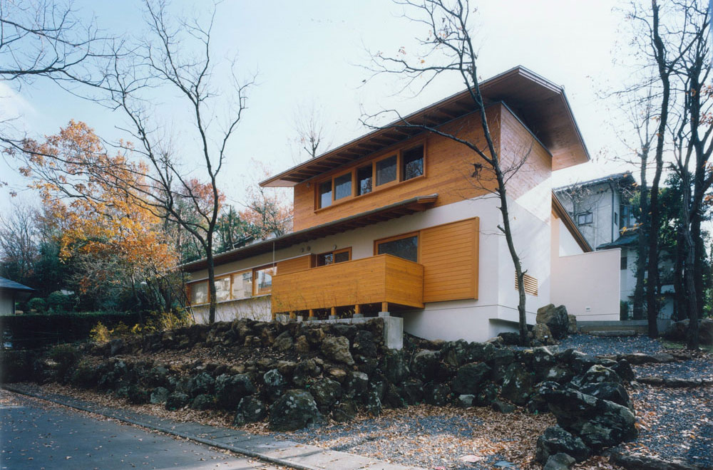 HOUSE IN IZU: Appearance