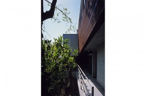 HOUSE WITH THE PEDESTRIAN DECK: Deck terrace