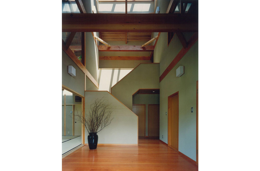 LARGE ROOF HOUSE: Entrance hall