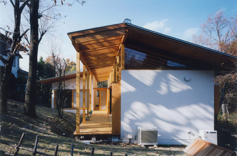 HOUSE IN IZU: Appearance