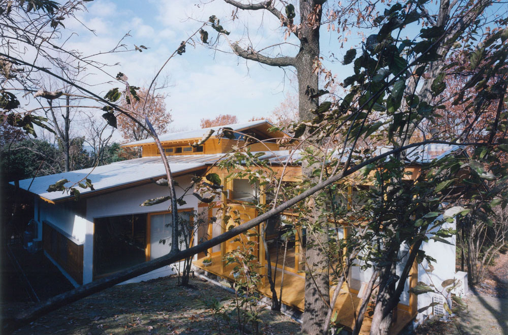 HOUSE IN IZU: Appearance