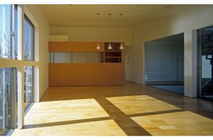 HOUSE WITH THE PEDESTRIAN DECK: Living room