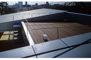 HOUSE WITH THE PEDESTRIAN DECK: Roof