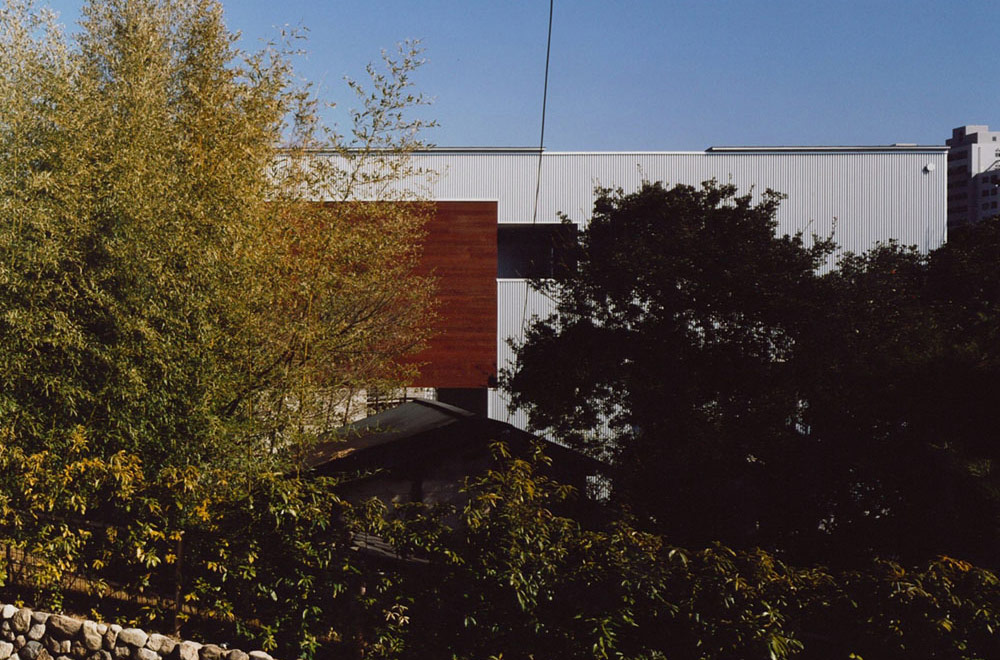 HOUSE WITH THE PEDESTRIAN DECK: Appearance