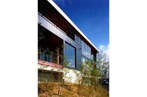 FLYING HOUSE: Appearance