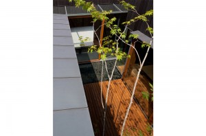 A HOUSE WITH A LITTLE STREAM: Courtyard