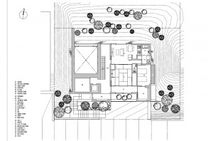 KANCHIKUSOU: Structural drawing